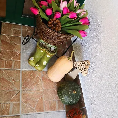 Zina